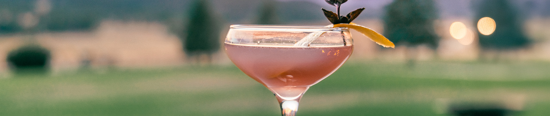 a glass with pink liquid and a leaf