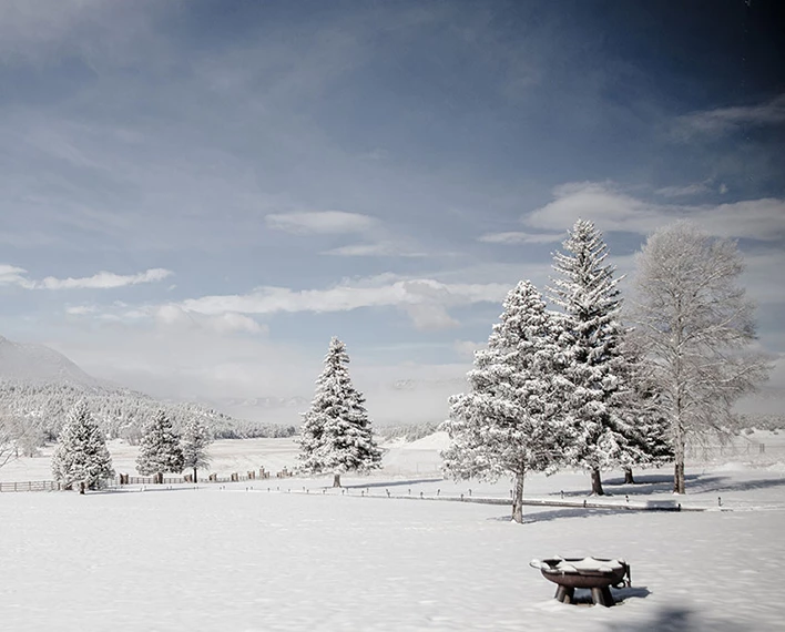 a snowy landscape with trees and a bench