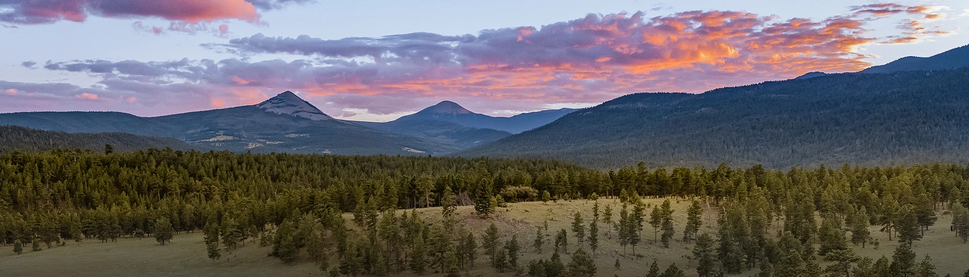 a landscape with trees and mountains in the background