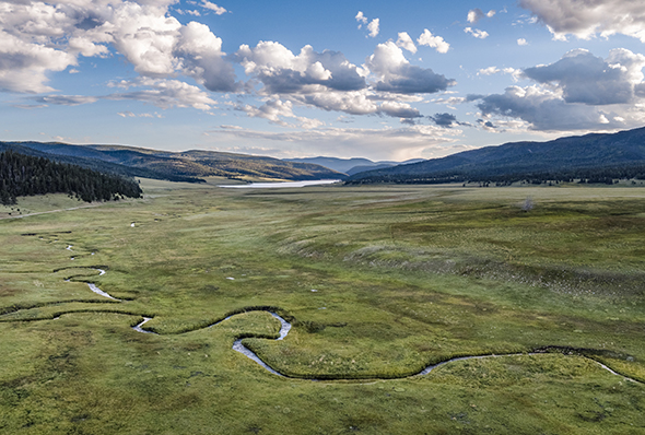 a river running through a grassy field