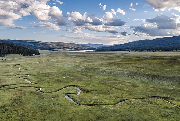a river running through a grassy field