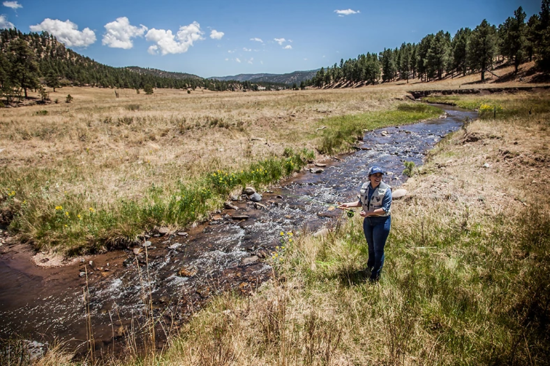 a woman standing in a field near a stream