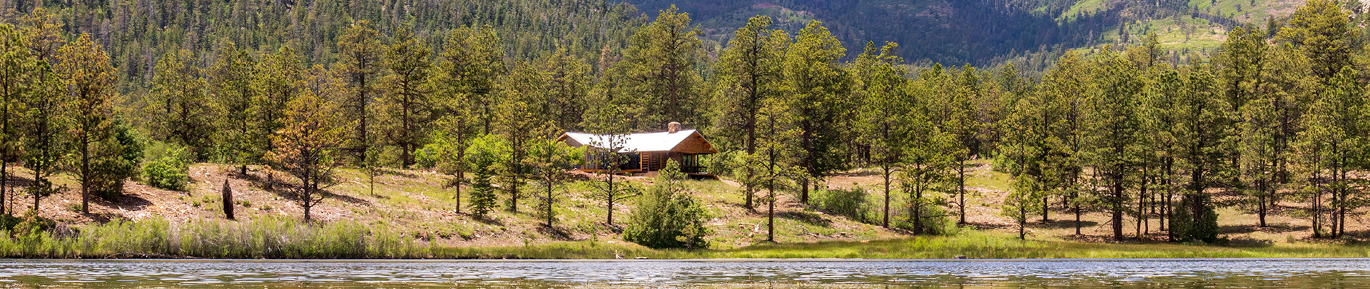 a house on a hill surrounded by trees