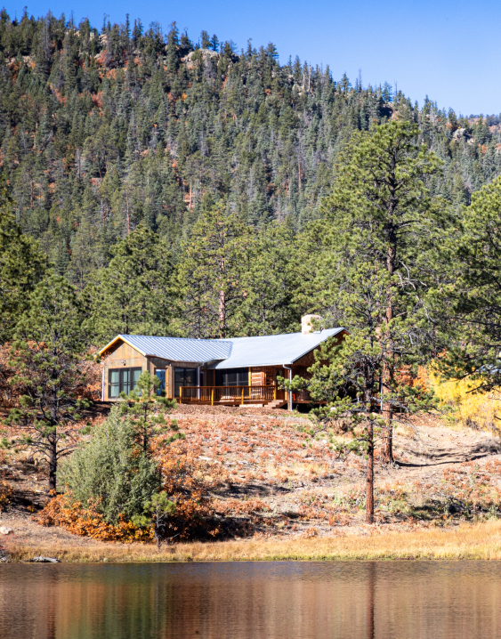 a cabin on a hill surrounded by trees