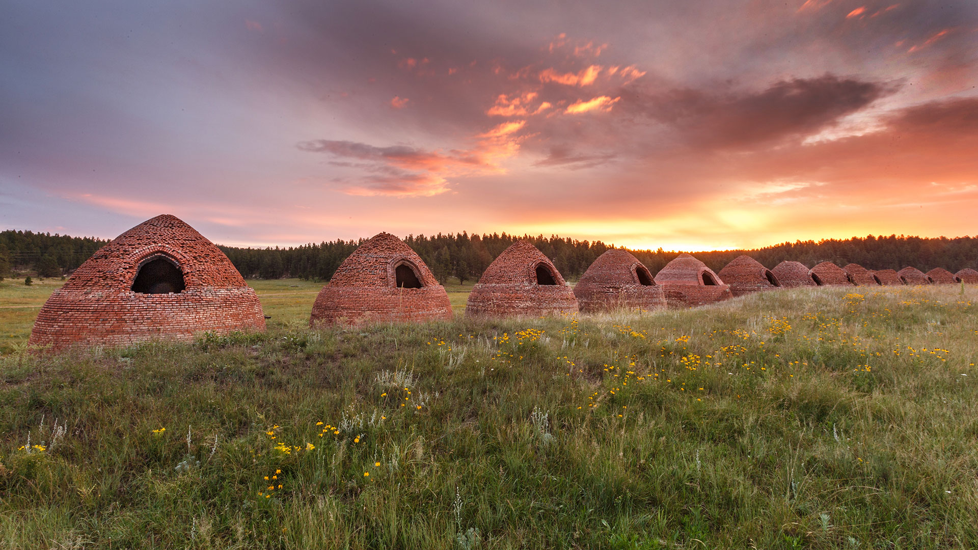a row of small round buildings in a field