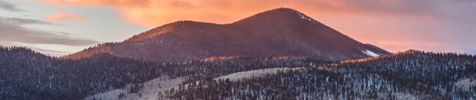 a mountain range with trees