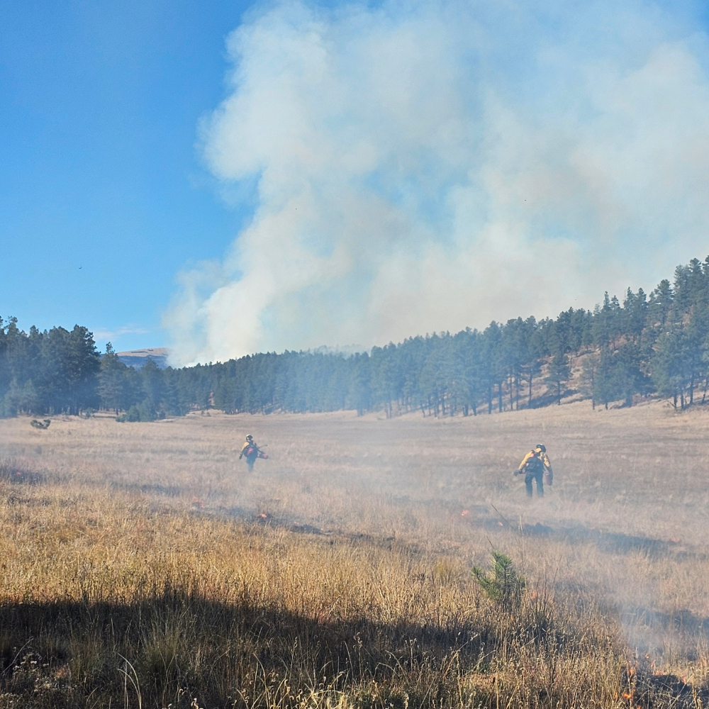 a group of people in a field with smoke