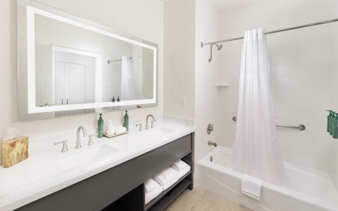 a bathroom with a bathtub and a shower