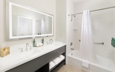 a bathroom with a bathtub and a shower