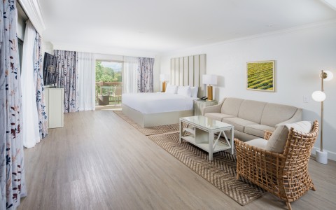 a room with a bed and a television
