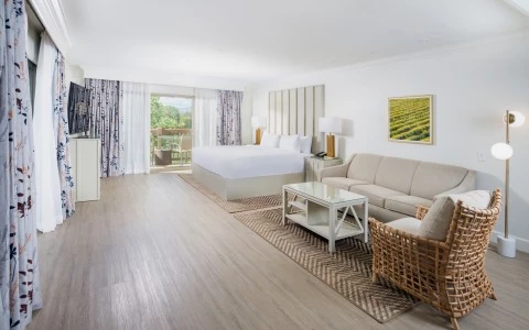 a room with a bed and a television