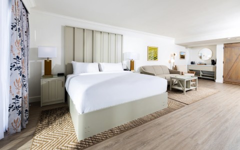 a room with a bed and a couch
