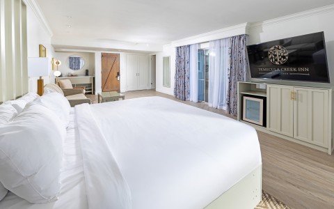 a room with a bed and a television