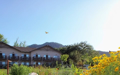 a building with a yellow flower garden