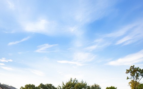 a group of people walking on a golf course