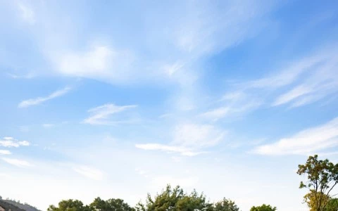 a group of people walking on a golf course