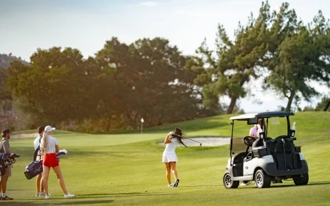 a group of women playing golf