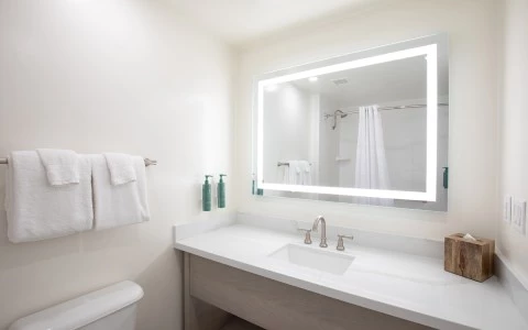 a bathroom with a mirror and a sink