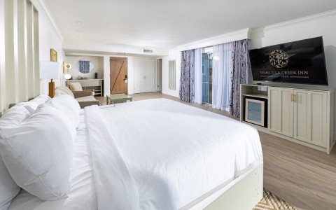 a bedroom with a large bed and a television