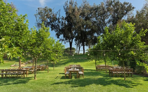 a group of tables and chairs in a grassy area