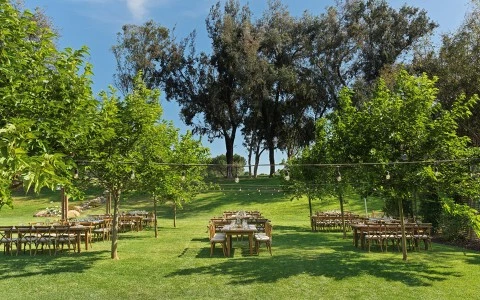 a group of tables and chairs in a grassy area