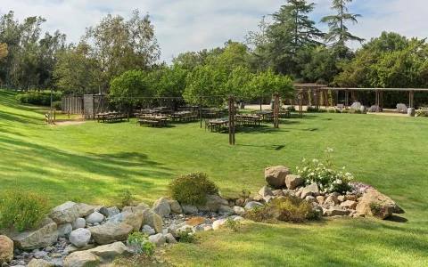 a lawn with tables and chairs