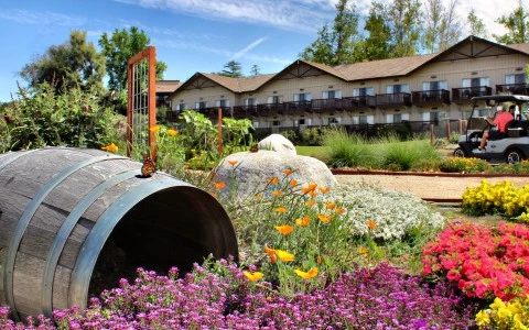 a garden with a barrel and flowers