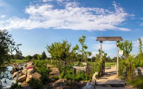 a path with a wooden gate and trees