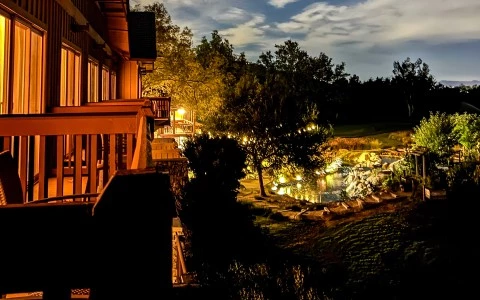 a house with trees and lights at night