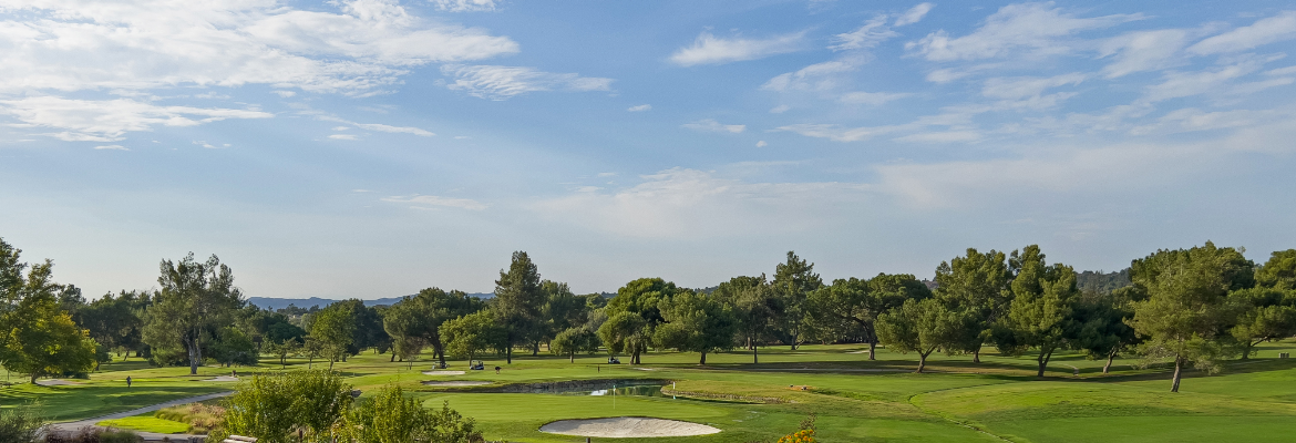a golf course with a sand trap and trees