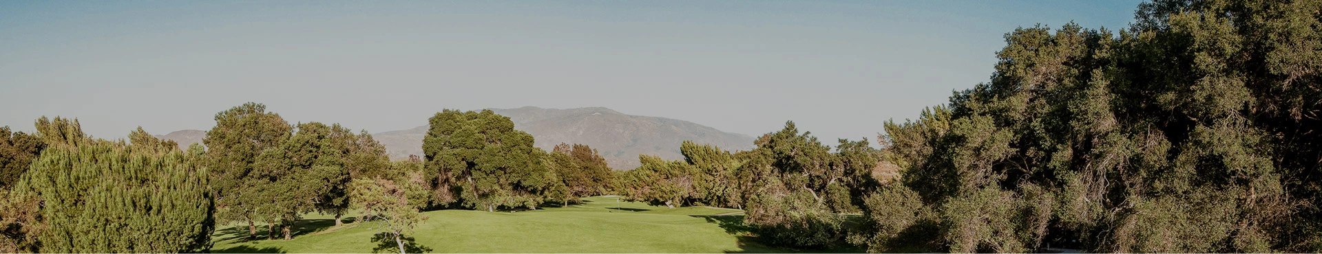 golf course surrounded by trees