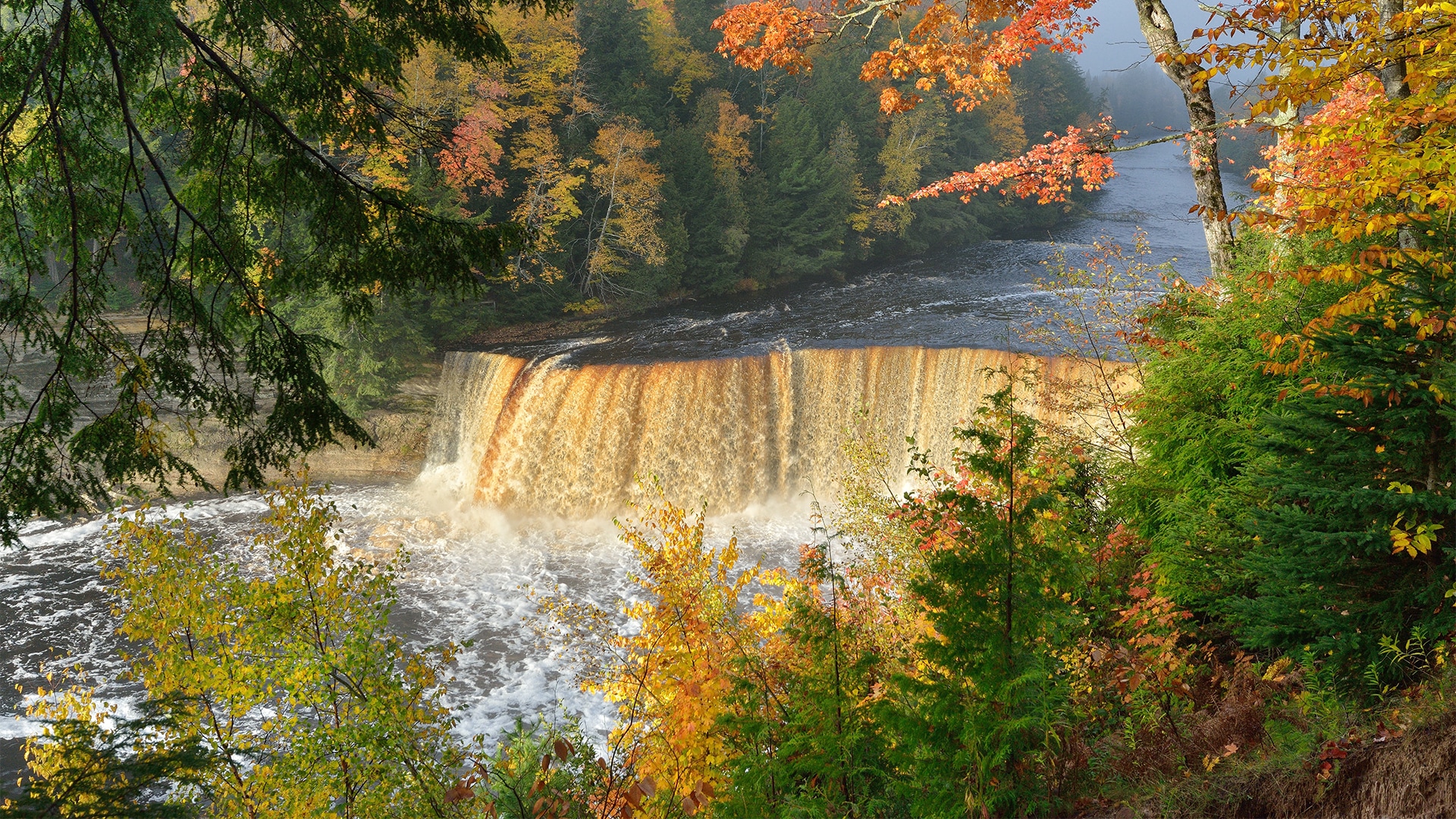 Tahquamenon Falls surrounded by trees