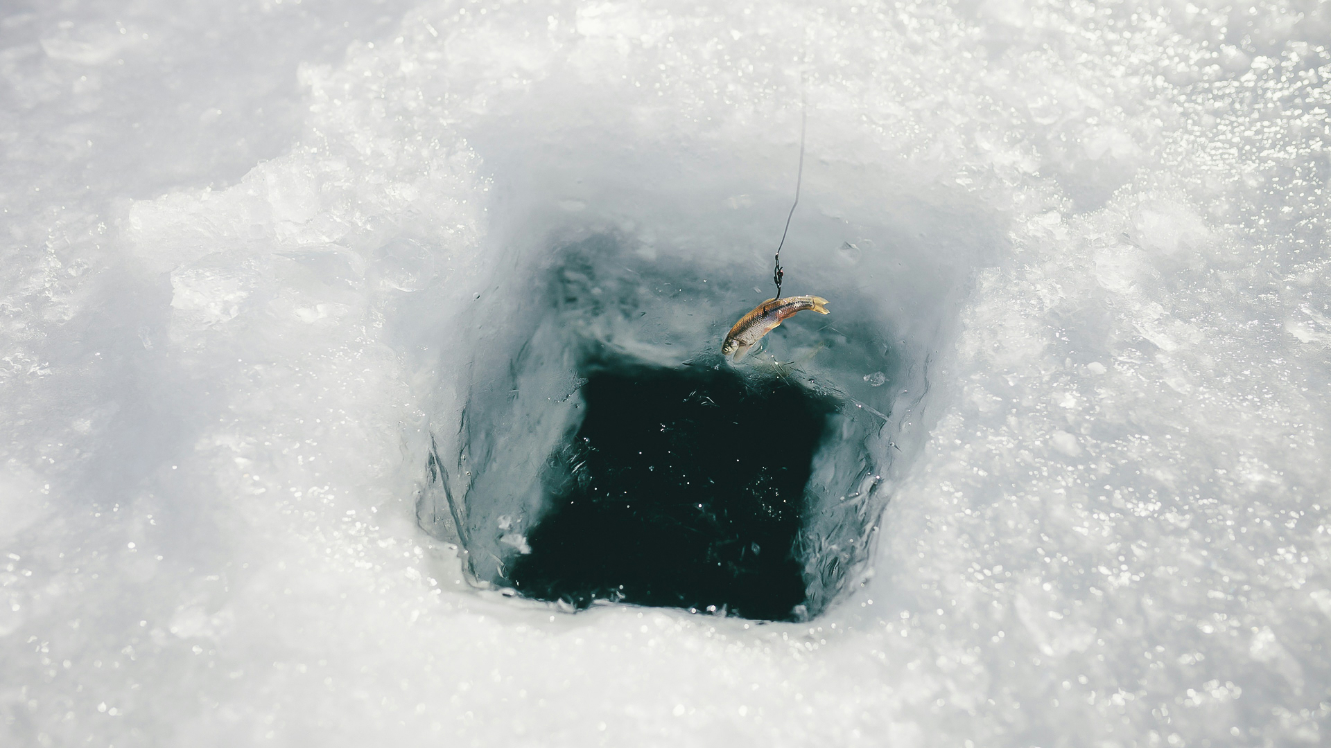 a fish on a hook in ice