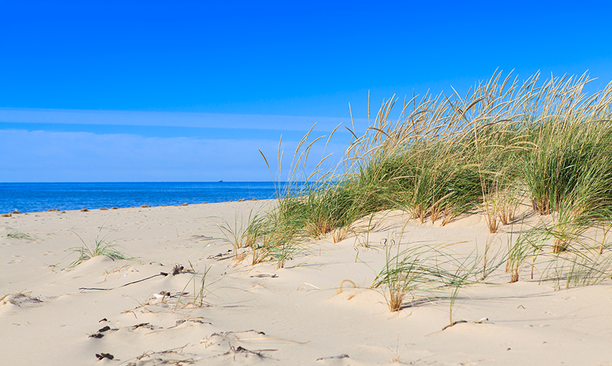 a beach with grass and blue water