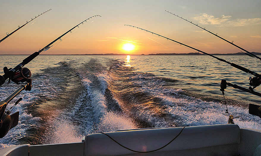 a group of fishing poles in the water