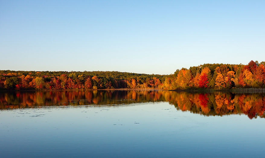 a body of water with trees and a hill in the background