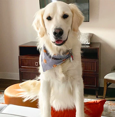 abernathy about petfriendly