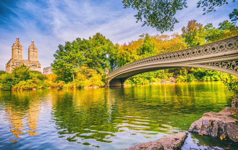 Summer in the City Image