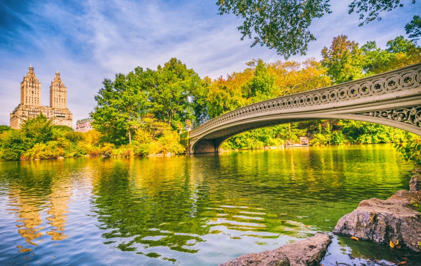Summer in the City Image
