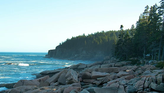 a rocky shore with trees and water