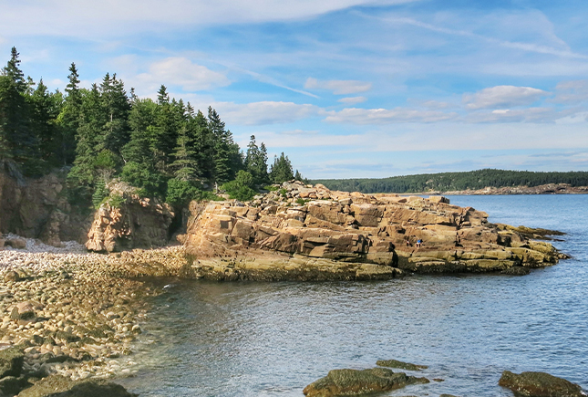 a rocky shore with trees and water
