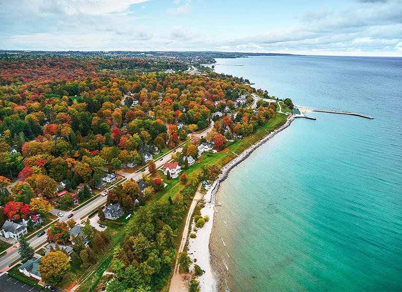 a body of water with trees and houses