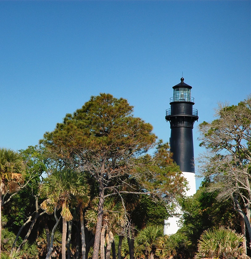 a lighthouse surrounded by trees