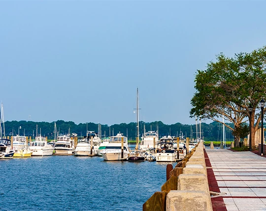 a dock with boats and trees