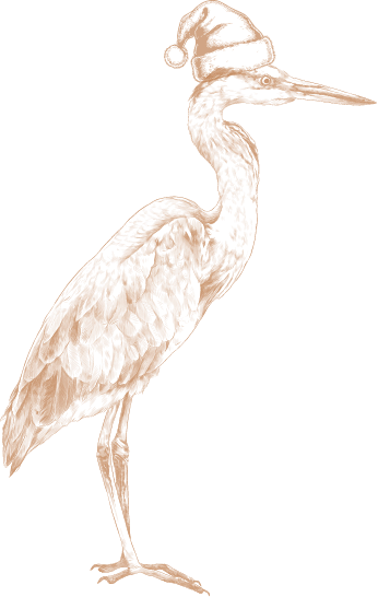 a bird standing on its hind legs