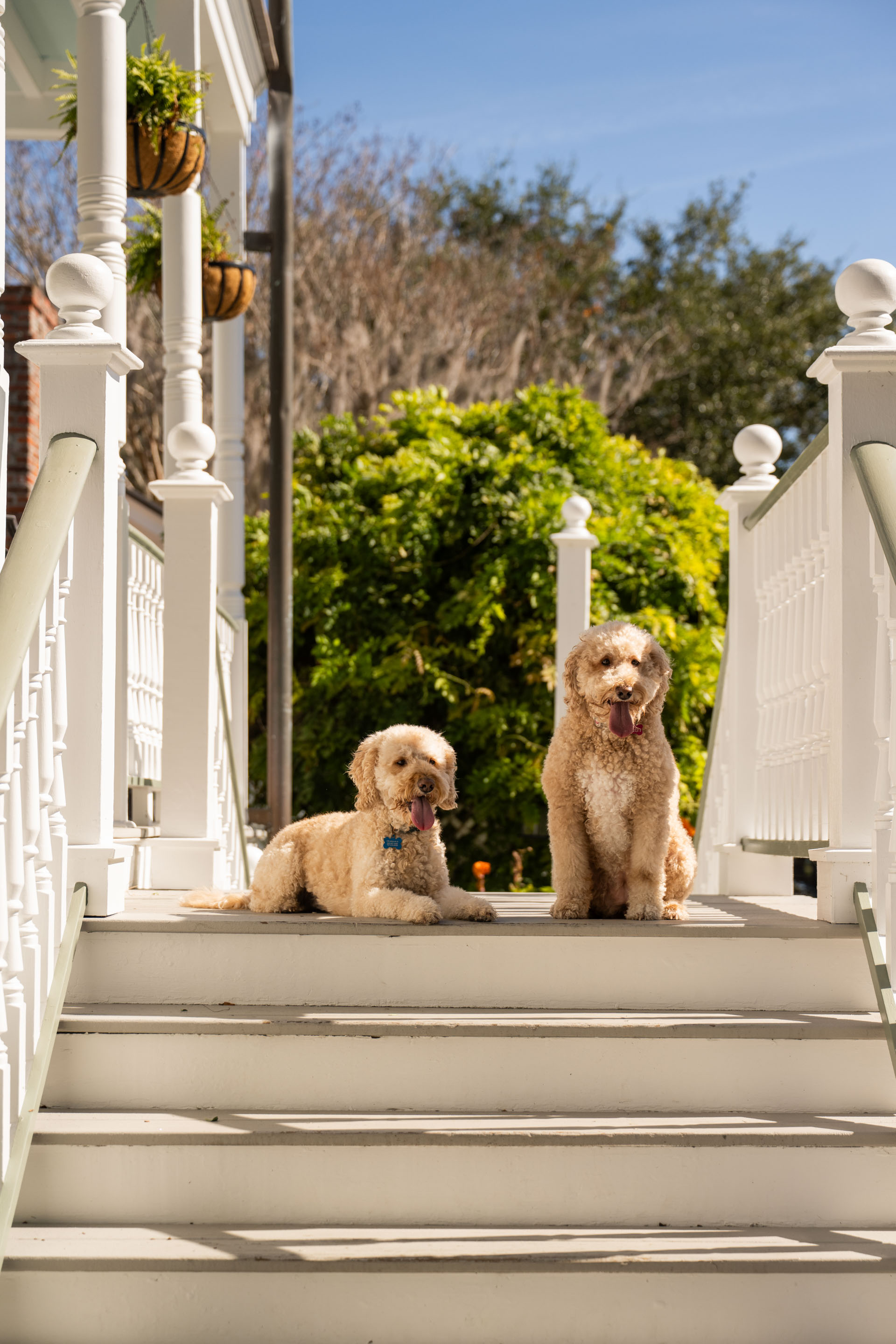 The Beaufort Inn — 4