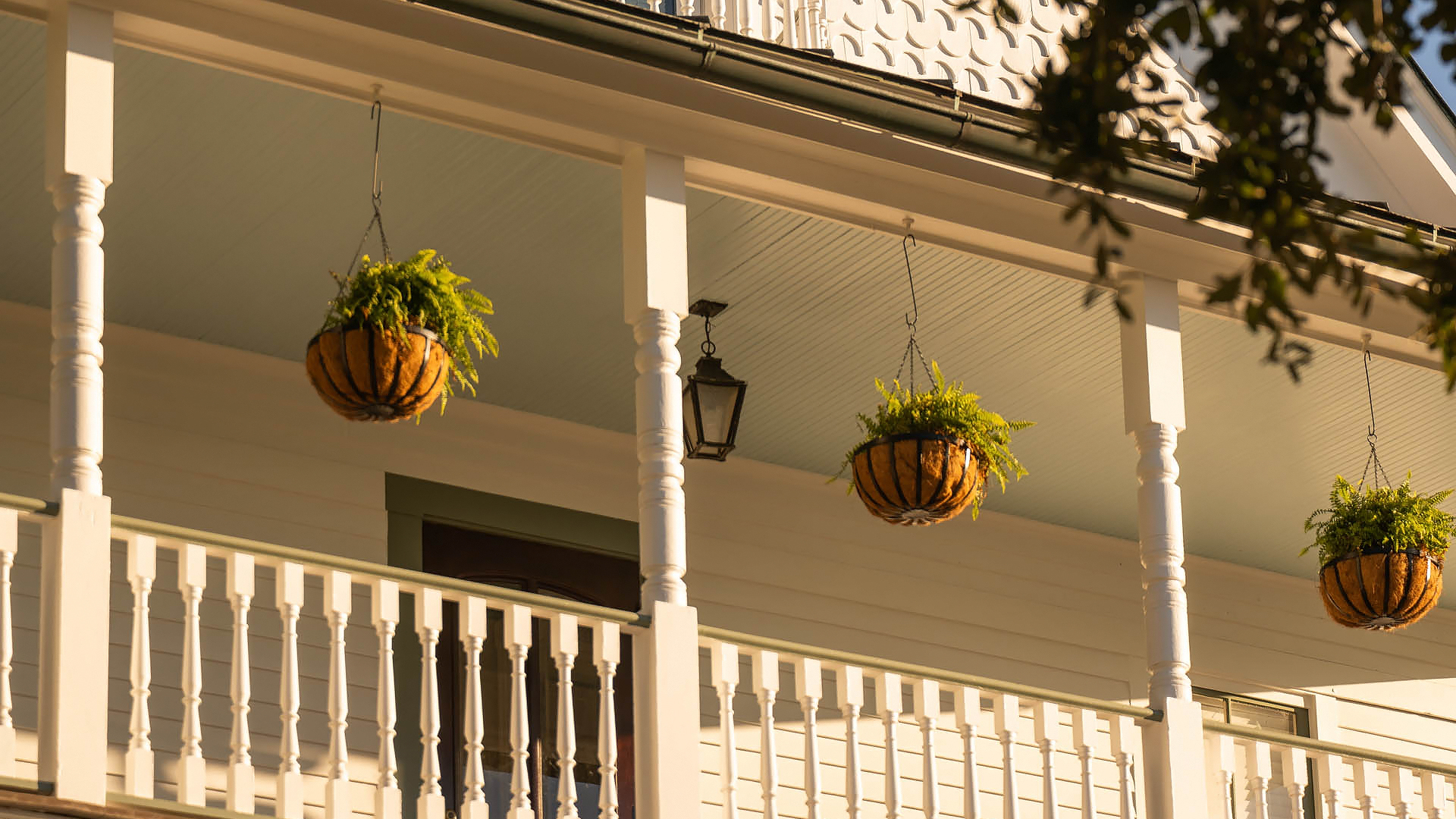 a plant from the porch of a house