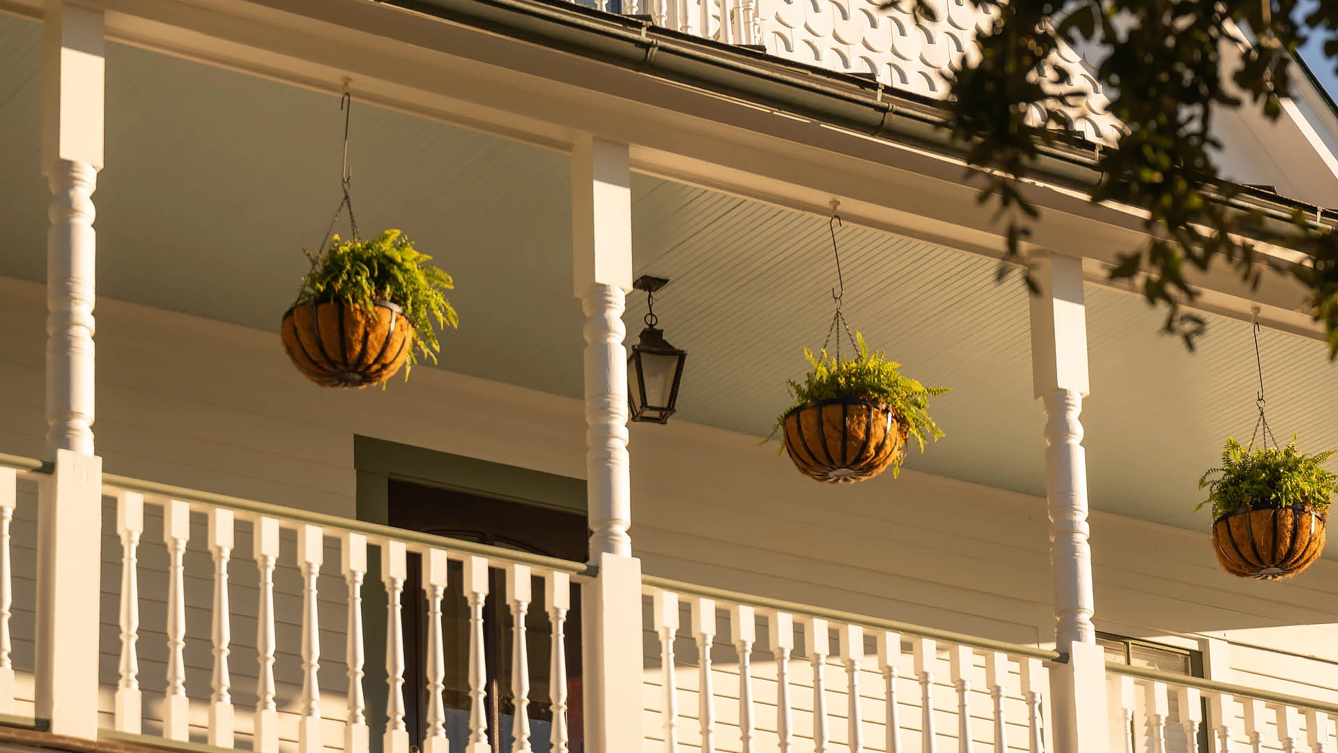 a plant from the porch of a house