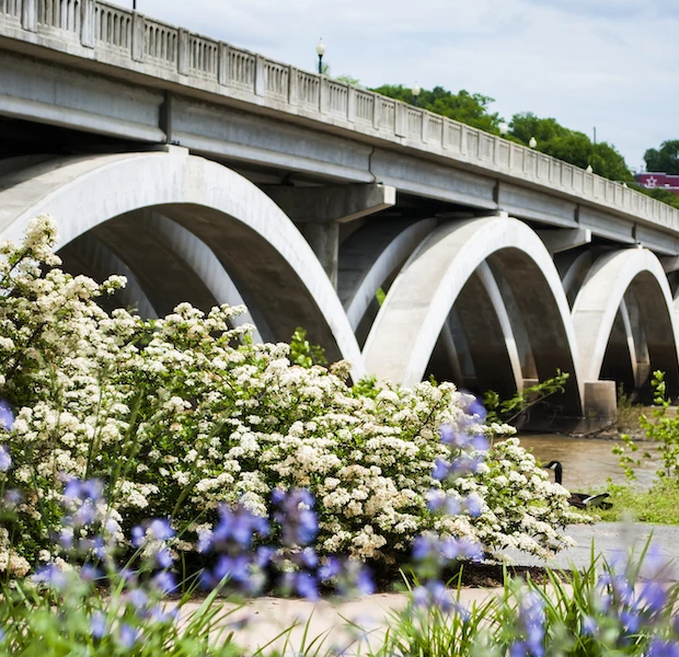 a bridge with arches and flowers