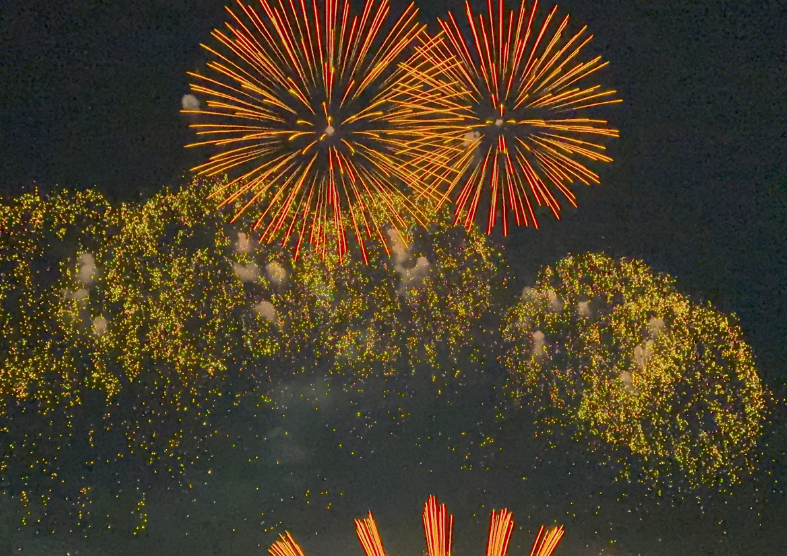 fireworks in the sky